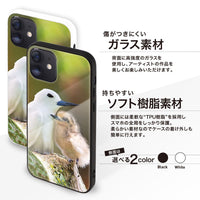 崎津 鮠太郎（さきつ はやたろう）ガラスiPhoneケース【Manu-o-K? (white tern) #1】